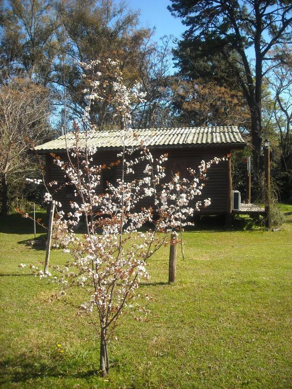 Cabanas Las Lavandas En Pilar Pilar (Buenos Aires) Exterior foto